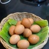restaurantPhoto