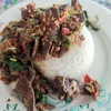 กระเพราตับ กระเพราตับ