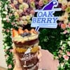 ความอร่อยไซส์ใหญ่กับ The Oak ที่เบสด้วย Acai ปั่นเสริมรสหวานด้วยน้ำตาลออร์แกนิค