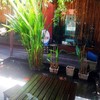 ร่มรื่นด้วยสระน้ำและต้นไม้​นานา​พันธุ์​