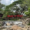 ป้ายร้าน