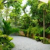 บรรยากาศในสวน