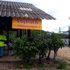 ร้านซีฟู๊ต