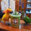 รูปร้าน song song 2/2 cafe สาขา1