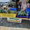 ขายอาหารสัตว์