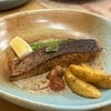 Salmon