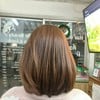 สีผมแฟชั่นยอดฮิต (ไม่ฟอก)เริ่มต้น1,500