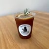 Lemon Tea