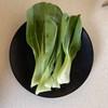 MENU_1878372SV_1697200970