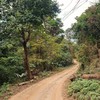 เส้นทาง