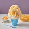 Hokkaido Melon ฮอกไกโด เมล่อน
