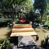 ในร้านจ๊ะ
