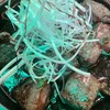 เนื้อลูกเต๋า