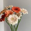 MENU_2734933ej_1714708120