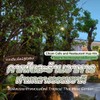 คาเฟ่และร้านอาหารท่ามกลางธรรมชาติ "Chom Cafe and Restaurant Hua Hin"