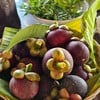 ผลไม้ในสวนให้ชิมฟรีไปอี้กกกก