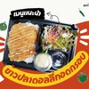 ปลาดอลลี่ทอด + ข้าวญี่ปุ่น + สลัดผัก