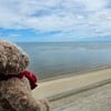 บรรยากาศผ้าใบริมหาด