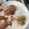 นี่คือสภาพไก่ที่ได้มา นึกว่าโดนแทะไปแล้ว น่ากลัวมาก