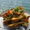 ปูม้าผัดผงกะหรี่ จานนี้500บาท