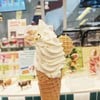 Yogurt Soft Serve with Homemade Waffle Cone (100.-)