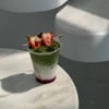 MENU_2984173US_1729931977
