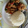 ข้าวกะเพราหมูกรอบ