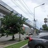 Jas Urban