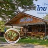 รูปร้าน ตำนัว ครัวป่า ท่ายาง