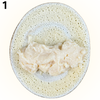 MENU_3049815Iz_1734939856