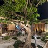 บรรยากาศร้าน มีทั้ง outdoor และห้องแอร์