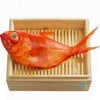 金目鯛= Golden Eye Red Snapper(นี่แปลแบบตรงๆเลยนะ) เพราะตาโตๆเขาสีทอง (...น่าร้าก)