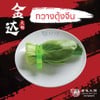กวางตุ้งจีน