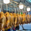 เป็ดพะโล้