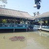 มีน้ำ มีปลา มีห่าน