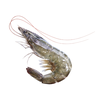 MENU_3060533Mb_1738760653
