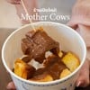 Mother Cows เมืองนครปฐม