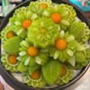 ขนมชั้นนุ่มนิ่ม หวานน้อย 