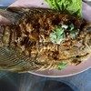 ปลาแรดทอดกระเทียม