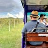 ทัวร์ไร่องุ่นไวน์และโรงบ่มไวน์ แล้วยังมี Wine Tasting ชิมไวน์พรีเมียม