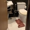 This hotel is terrible. 
