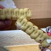 MENU_3207105Ew_1749142433