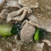 ราดหน้า