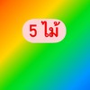 MENU_3548187kF_1763744155