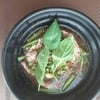 ชาบูน้ำตกเนื้อวัว