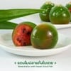 แตงโมปลาแห้งใบเตย