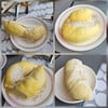 กินจนหายอยาก