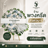 #ร้านพวงหรีด
#พวงหรีด
#พวงหรีดดอกไม้สด
#พวงหรีดพัดลม
#ส่งพวงหรีดด่วน