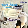 Yogurt  Natural  (  เจลาโต้ โยเกริต์บูลเบอรี่ เชอร์เบท  ถ้วย  16  oz  )  (  De'b