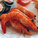 f17a618823fd48228ec14970318fe3a1